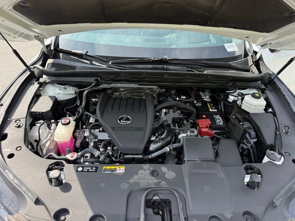 Photo 19