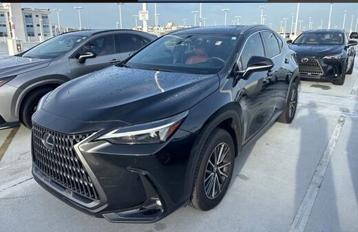 2025 Lexus NX