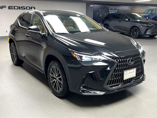 2025 Lexus NX