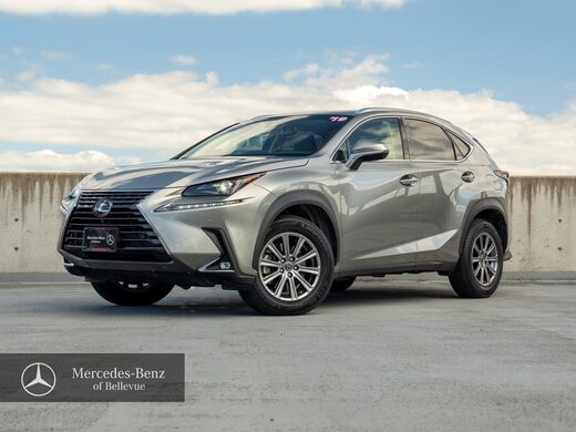2019 Lexus NX