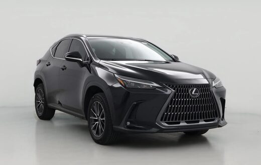 2024 Lexus NX