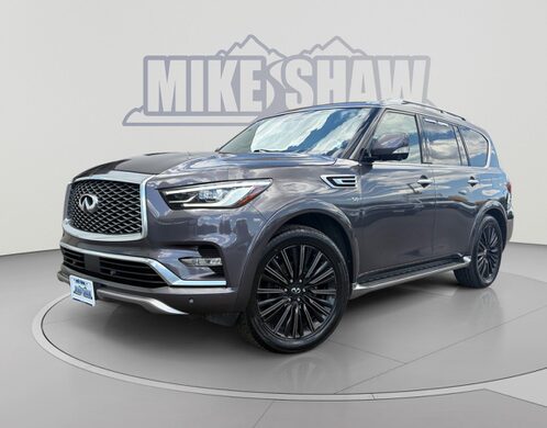 2019 INFINITI QX80