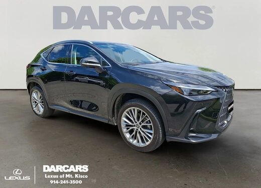 2025 Lexus NX