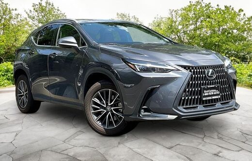 2024 Lexus NX