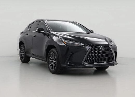 2024 Lexus NX