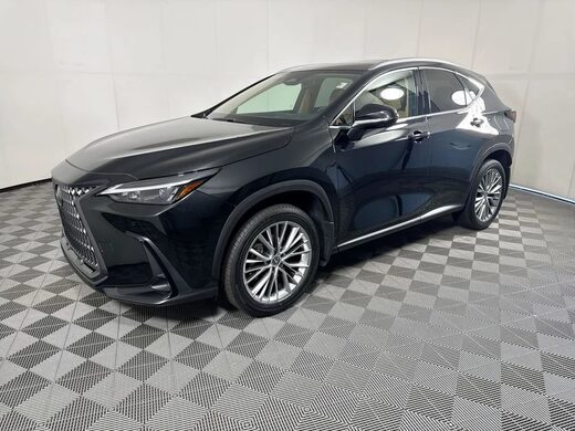 2025 Lexus NX