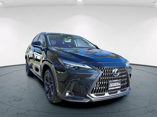 2026 Lexus NX