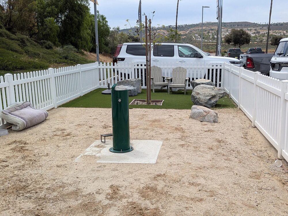 Photo 41